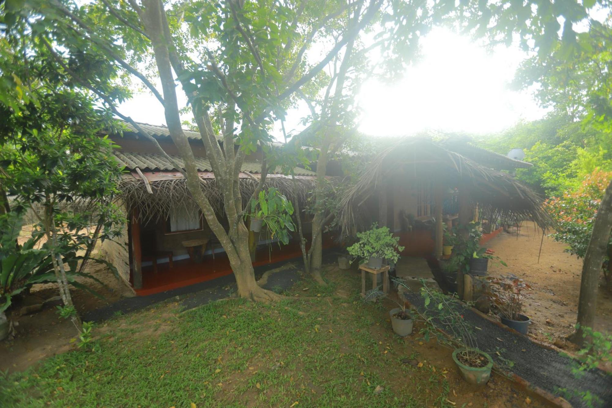 Dinna Nature Hostel Sigiriya Eksteriør bilde